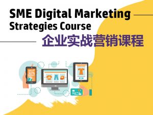 Read more about the article SME Digital Marketing – Strategies Course